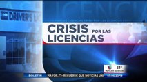 Crisis para obtener cita para una licencia de conducir