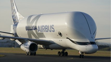 Le Beluga XL, avion géant d’Airbus, entre enfin en service