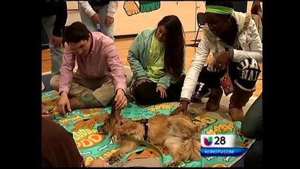 Estudiantes realizan terapias de relajación con animales
