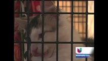 Realizarán esterilización de mascotas a bajo costo