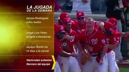 Los deportes desde Washington D.C. 12/08/2014