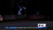 Detienen A 14 Inmigrantes En Casa De Seguridad
