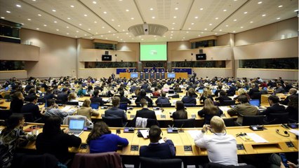 Une eurodéputée LREM "oublie" de transmettre sa déclaration à la Haute autorité pour la transparence, le parquet informé