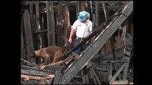 Un incendio deja varias estructuras destruidas en Annaville