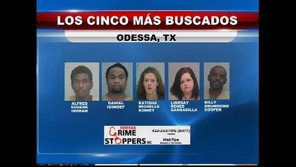 Los cinco más buscados de la semana