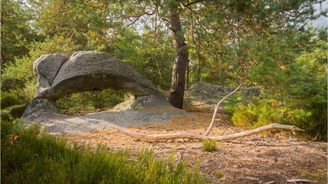 Près de Fontainebleau, des pollueurs piégés par un piège photo