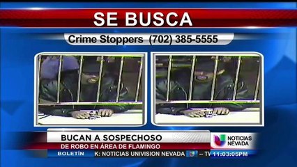 Buscan a sospechoso de robo en el área de Flamingo