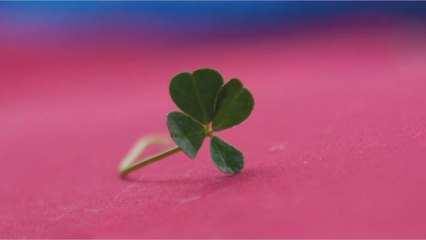 EuroMillions : un Français remporte le gros lot