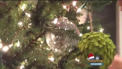 Esta Navidad Tenemos Que Amar Y Perdonar