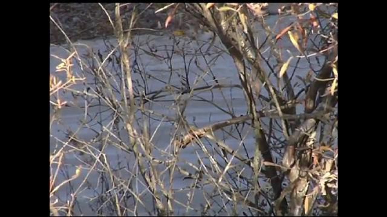 Impacto de las lluvias en el Valle de Salinas y Monterey