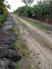 Warga Gampong Pante Mutia Gotong Royong Cuci Parek