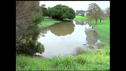 Russell Rd. de Salinas tras inundaciones