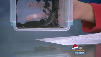 TU Puedes Ganar $500 En El Zoologico