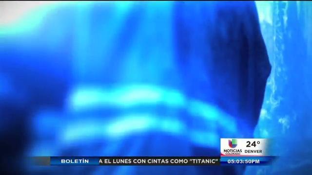 Cargos formales para sospechosos de asesinato