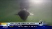 New Navy Drone Fish Swims In Atlantic