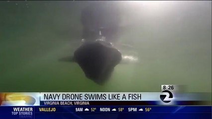 New Navy Drone Fish Swims In Atlantic