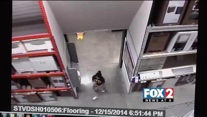 Caught on Camera: Woman Steals Purse from Hardware Store