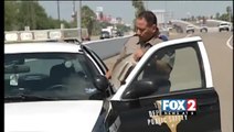 High Speed Chase Ends with Arrest of Undocumented Individuals