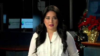 Nueva ley en relación con los asientos protectores