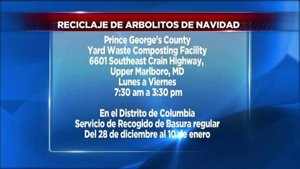 Como y donde reciclar sus árboles de navidad