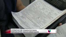 Más sobre licencias de conducir para inmigrantes