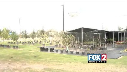 Weslaco Business Owner Seeking Justice after Repeated Burglaries