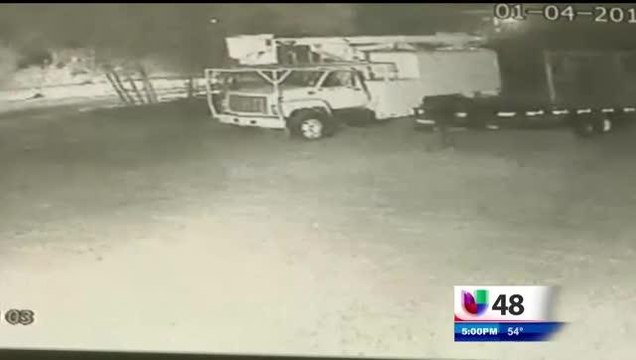 Autoridades Buscan a tres Sospechosos de Robo en un Vivero en Weslaco