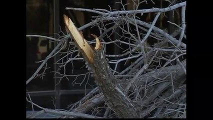 Esfuerzos de limpieza