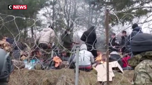 Pologne : à la frontière Belarus, la crise migratoire s'intensifie