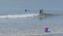 Alertas de riesgos de salud en playas de Tijuana