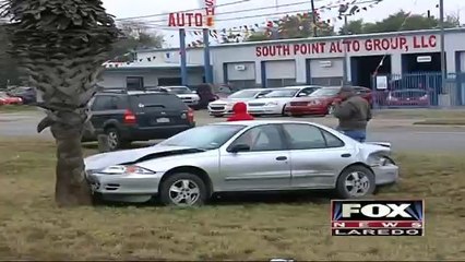 Driver Hits Palm Tree