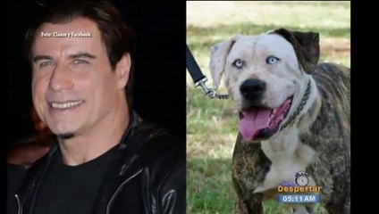 Descubre lo mas curioso del mundo