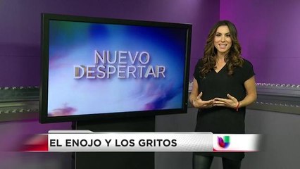 Nuevo despertar: El enojo y los gritos
