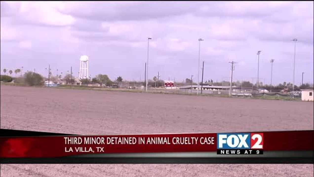 Third Juvenile Involved in Beating and Torturing of La Villa FFA Animals in Police Custody