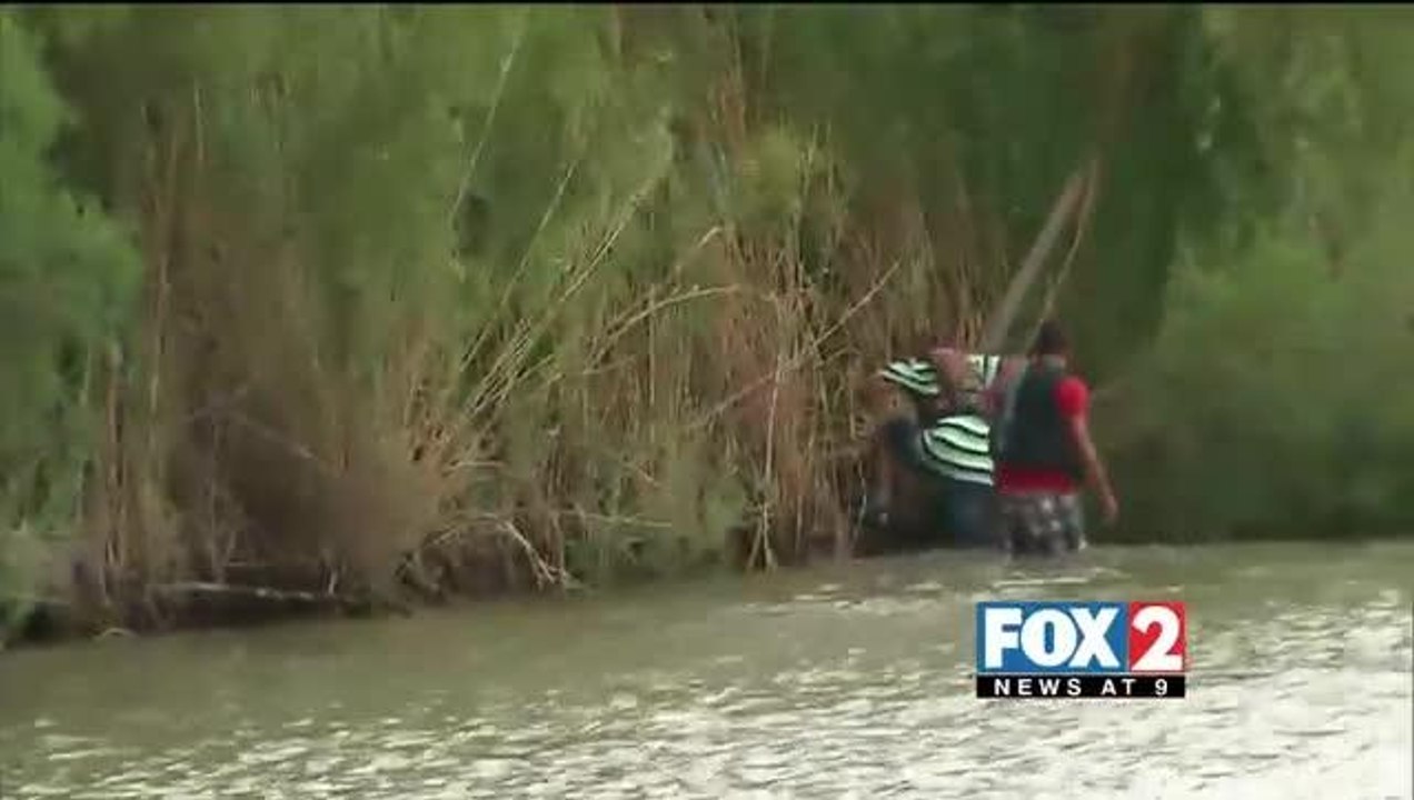 Vision-Obstructing Shrubbery Causing Security Threat on Border