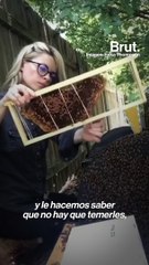 Esta apicultora enseña en TikTok por qué hay que cuidar a las abejas