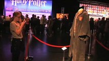Celebracion de Harry Potter en Universal Orlando