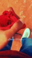 Very Sad Status  Sad Poetry Status  Sad Shayari  Broken Heart Status  Mood Off