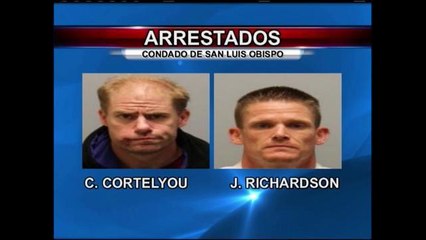 Realizan arrestos tras orden de cateo