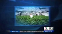 Industria de la marihuana pagó 76 millones de dólares en impuestos el 2014