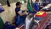 How to butcher a 50kg yellow fin tuna like a pro.. maldivian style