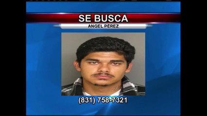 Autoridades continúan tras la pista de asaltante de comercio en Salinas