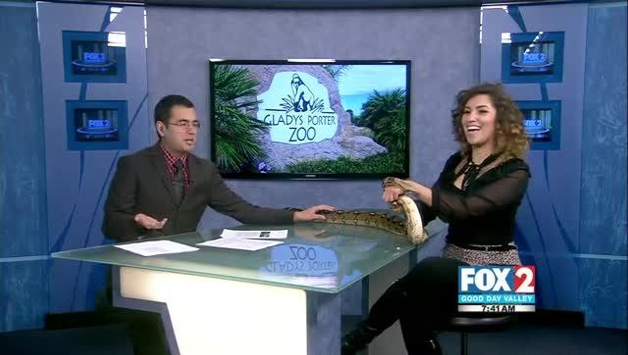 zoo