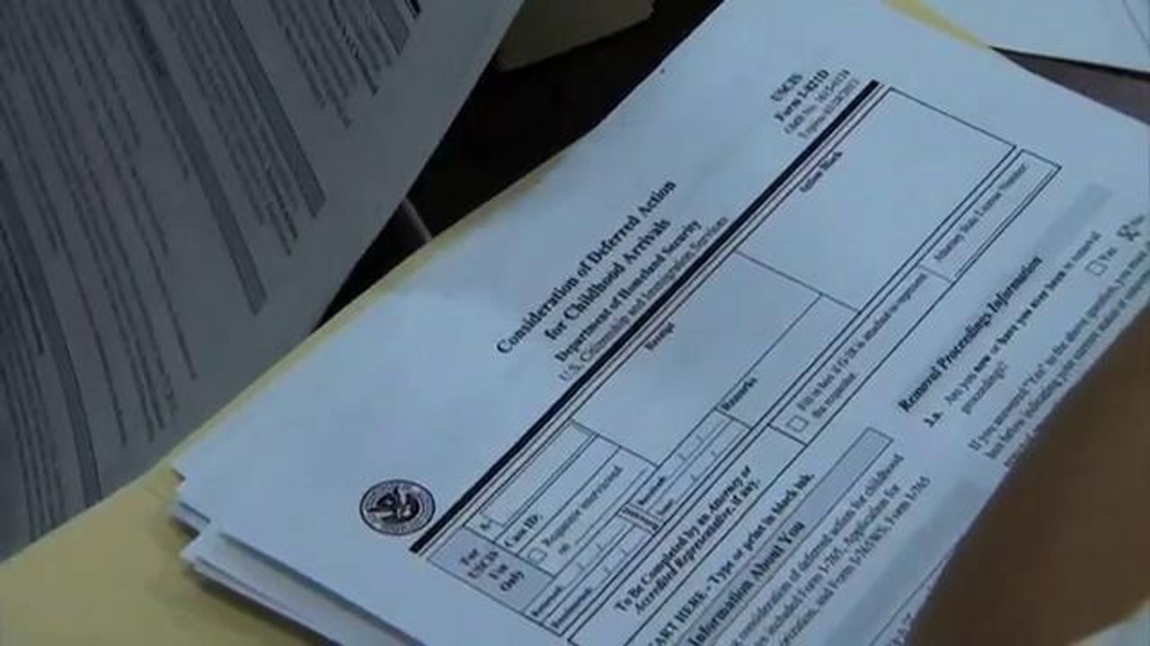 Dreamers reaccionan con desilusión por suspensión de Acción Diferida