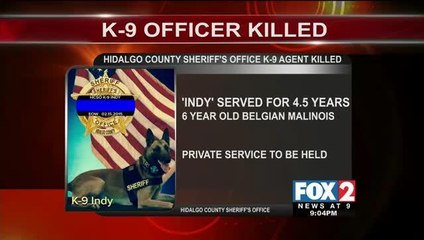 Hidalgo County Sheriff\'s Office K-9 Agent Killed