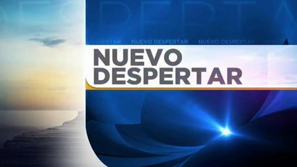 Nuevo despertar: Ideas de percepción