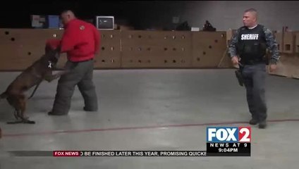 Sheriff\'s Office Welcomes Two New K-9 Agents