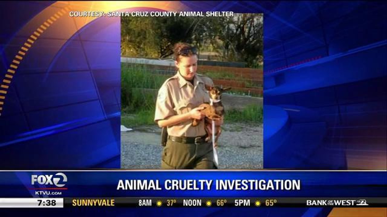 Disturbing Animal Cruelty Investigation In Santa Cruz