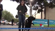 Invidente de Tijuana reporta discriminación en restaurante