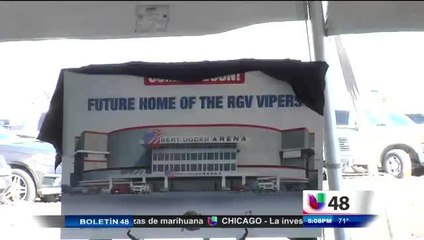 Vipers: The Venomous Snakes